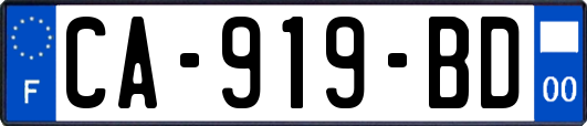 CA-919-BD