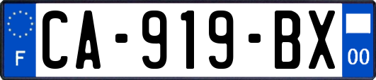 CA-919-BX