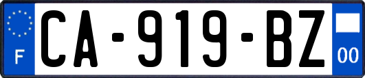 CA-919-BZ