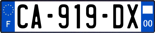 CA-919-DX