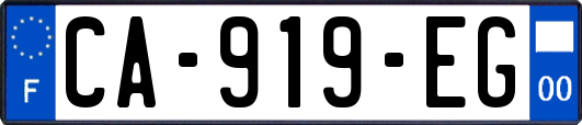 CA-919-EG