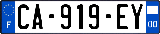 CA-919-EY