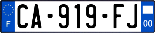 CA-919-FJ