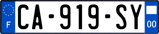 CA-919-SY