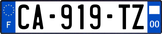 CA-919-TZ