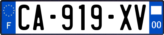 CA-919-XV