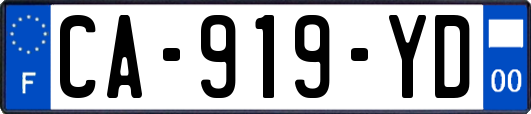 CA-919-YD