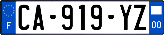 CA-919-YZ