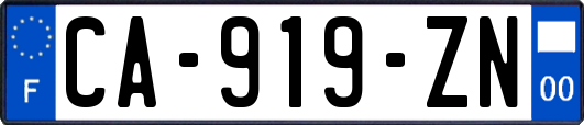 CA-919-ZN