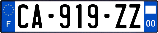 CA-919-ZZ