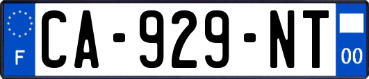 CA-929-NT