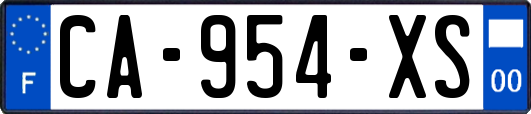 CA-954-XS