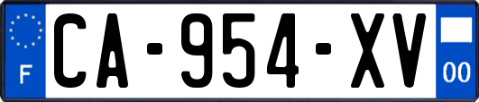 CA-954-XV