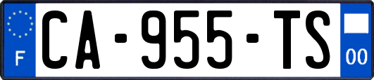 CA-955-TS