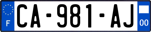 CA-981-AJ