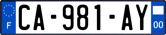 CA-981-AY