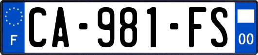 CA-981-FS