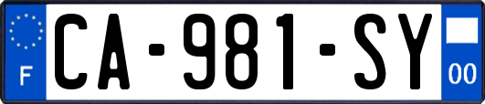 CA-981-SY