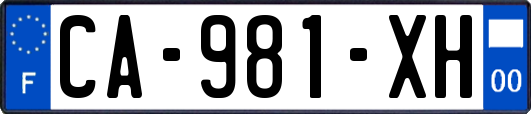 CA-981-XH