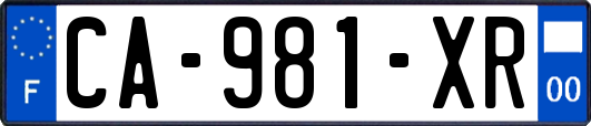 CA-981-XR