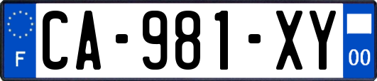 CA-981-XY