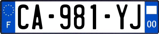CA-981-YJ