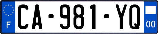 CA-981-YQ