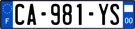 CA-981-YS