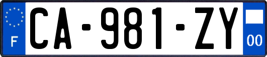 CA-981-ZY