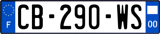 CB-290-WS