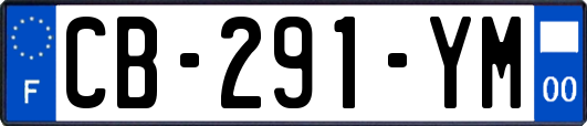 CB-291-YM