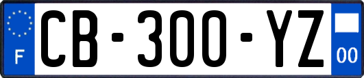 CB-300-YZ