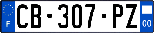 CB-307-PZ
