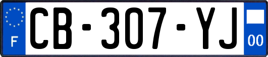 CB-307-YJ