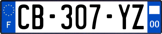 CB-307-YZ