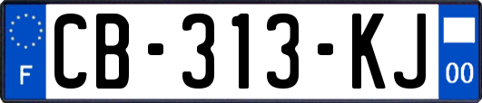 CB-313-KJ
