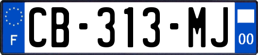 CB-313-MJ
