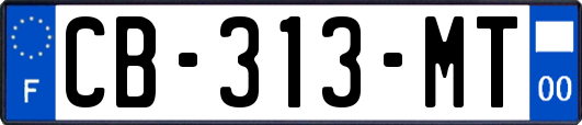 CB-313-MT