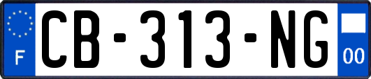 CB-313-NG
