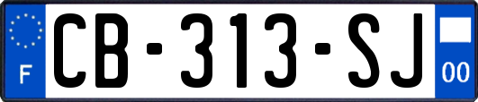 CB-313-SJ