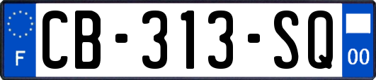 CB-313-SQ