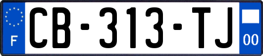 CB-313-TJ