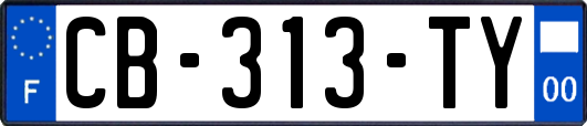 CB-313-TY