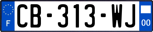 CB-313-WJ