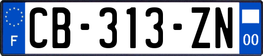 CB-313-ZN