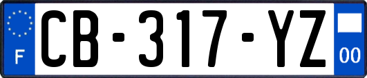 CB-317-YZ