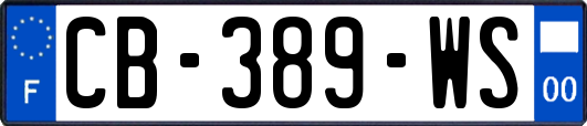 CB-389-WS