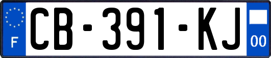CB-391-KJ