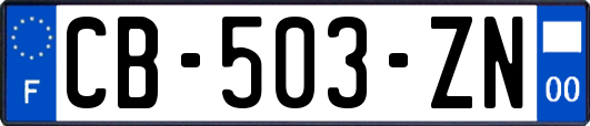 CB-503-ZN