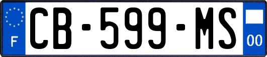 CB-599-MS